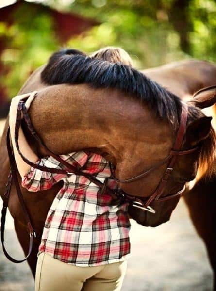 http://www.equestrianstylist.com/wp-content/uploads/2012/09/horse_hug-25661.jpg