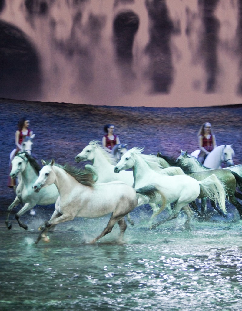 Cavalia Horses