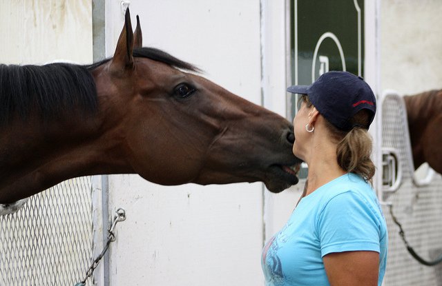 What Does Equestrianism Mean To You?