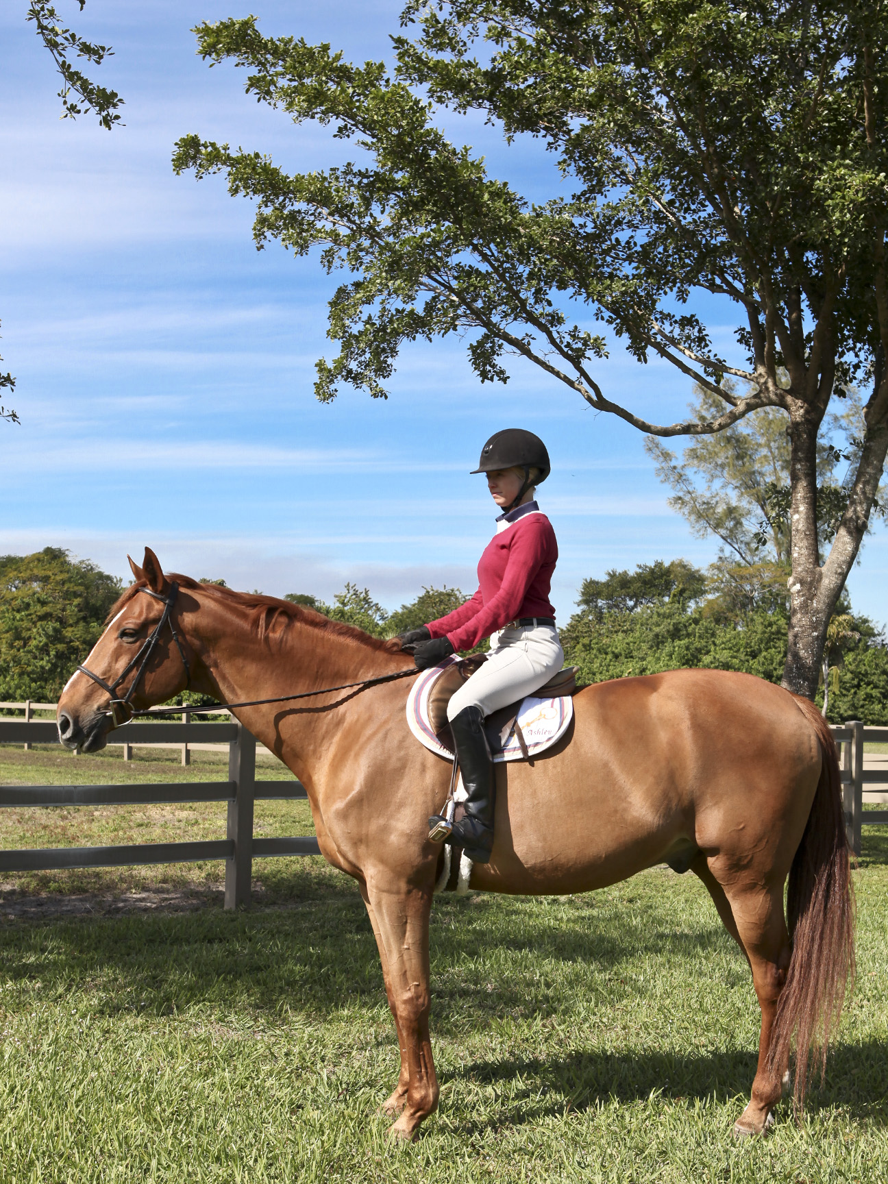 Riding Boots with Comfort & Style: Ariat Challenge Field Zip II