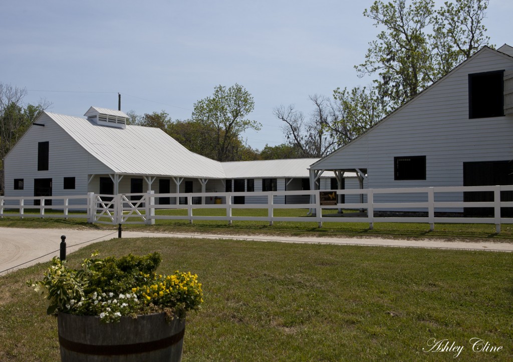 Barn Style: The Boone Hall Plantation in Charleston, SC