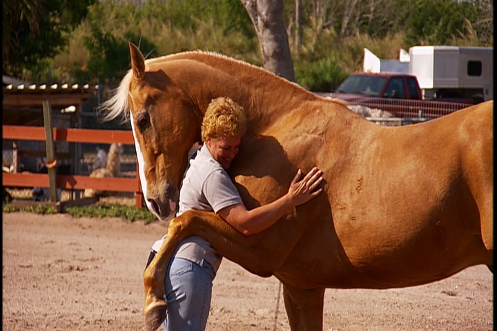 Today is… National Hug An Equestrian Day