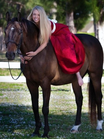 Merry Christmas from Equestrian Stylist