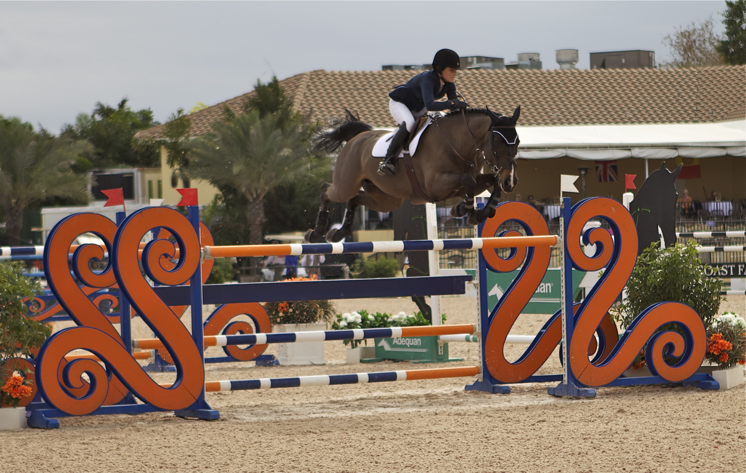 An Afternoon at the Winter Equestrian Festival