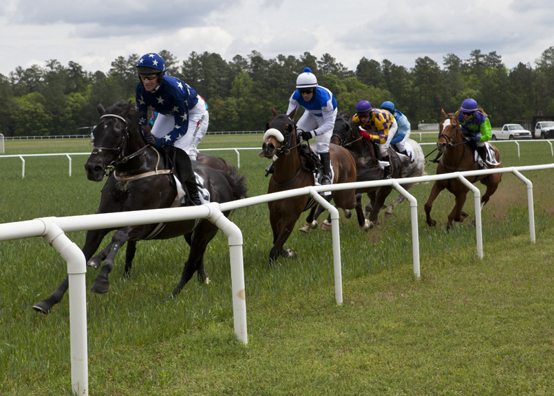 A Prestigious Equestrian Affair: The Carolina Cup 2012