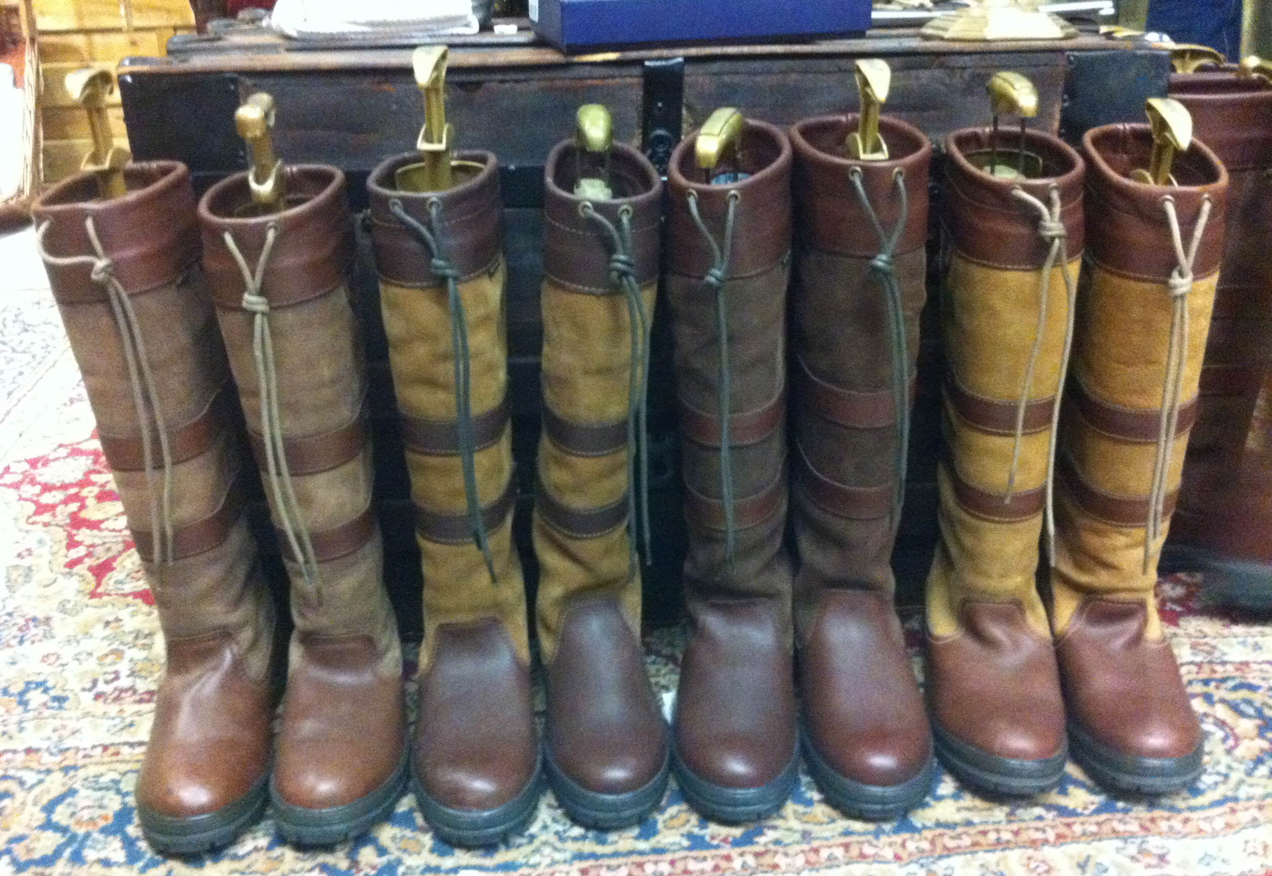 Featuring Dubarry from the Washington International Horse Show 2012