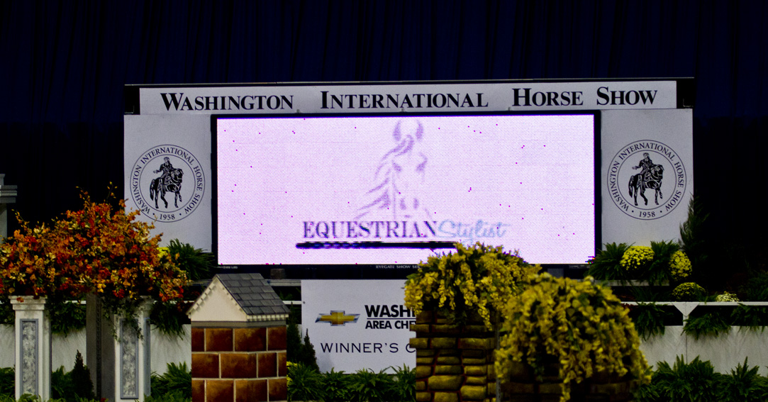 A Quick Whinny From Washington D.C At The Washington International Horse Show