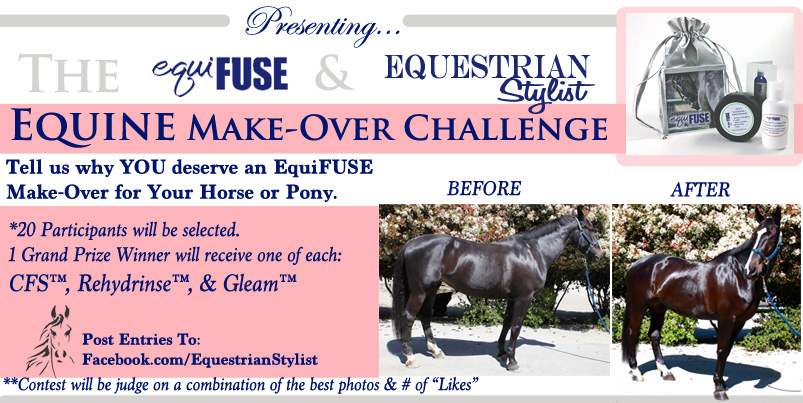 Presenting The Equine Make-Over Challenge With EquiFUSE
