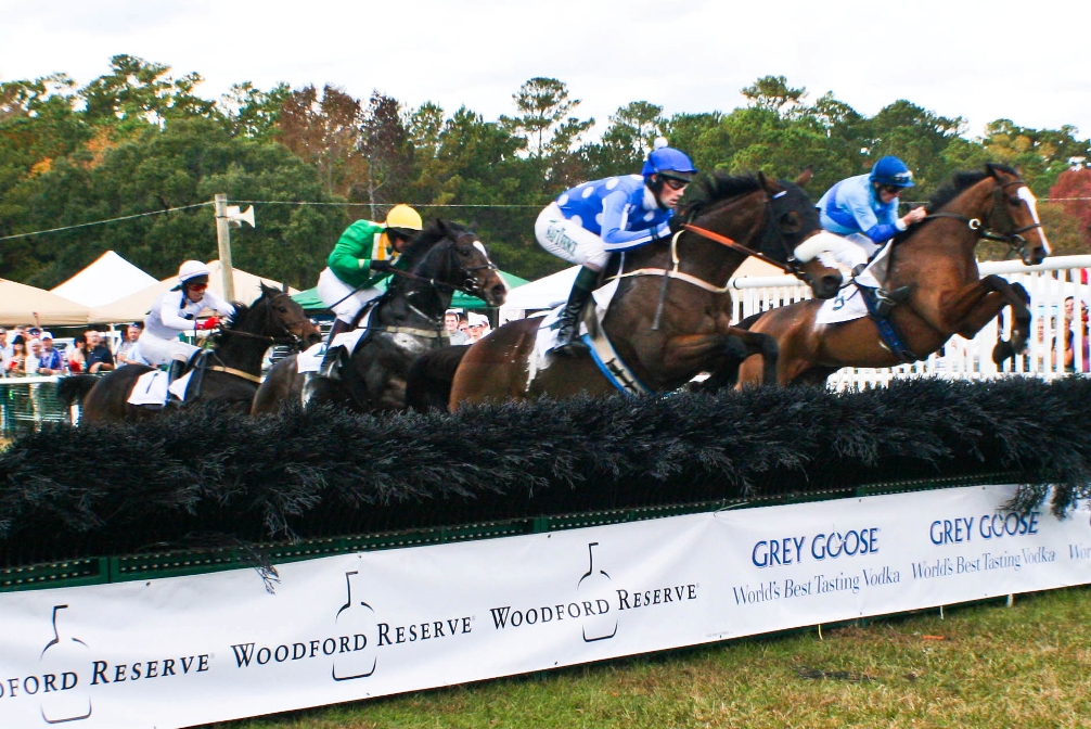 Upcoming Event: The Charleston Cup Steeplechase November 9-11, 2012