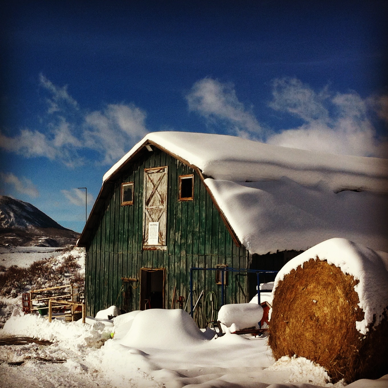 Fresh Snow & Equestrian Findings From Steamboat Springs, Colorado