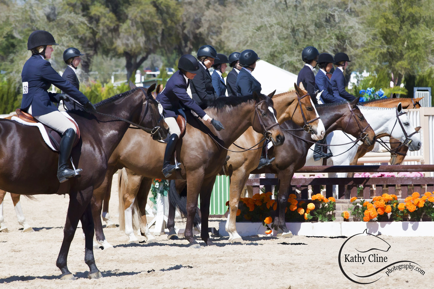 Plenty of Ponies at HITS Ocala 2013: Photography by Kathy Cline