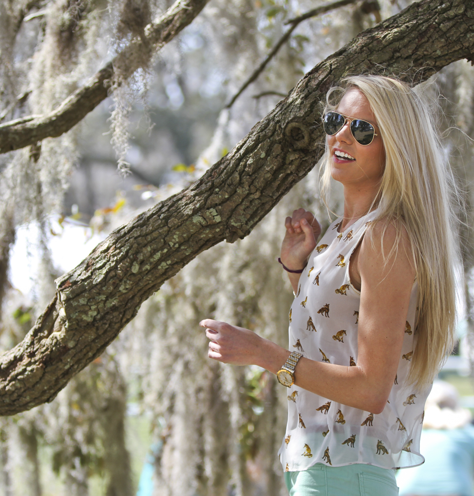 Mint Colored Skinnies n’ a Fox Printed Top: Equestrian Style Spring