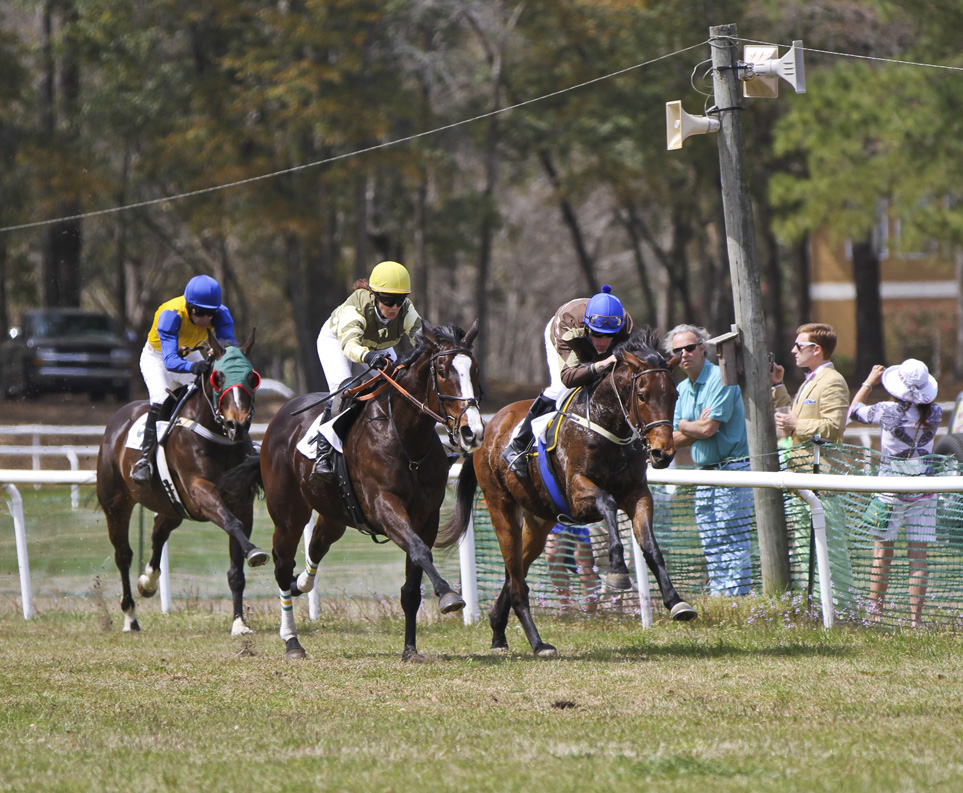 A Race-Day Recap Of Charleston Trials Steeplechase 2013