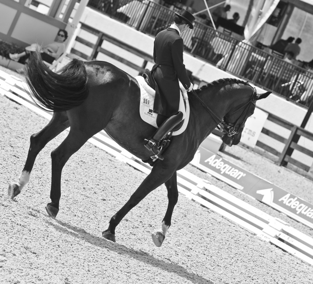 BWDressage72