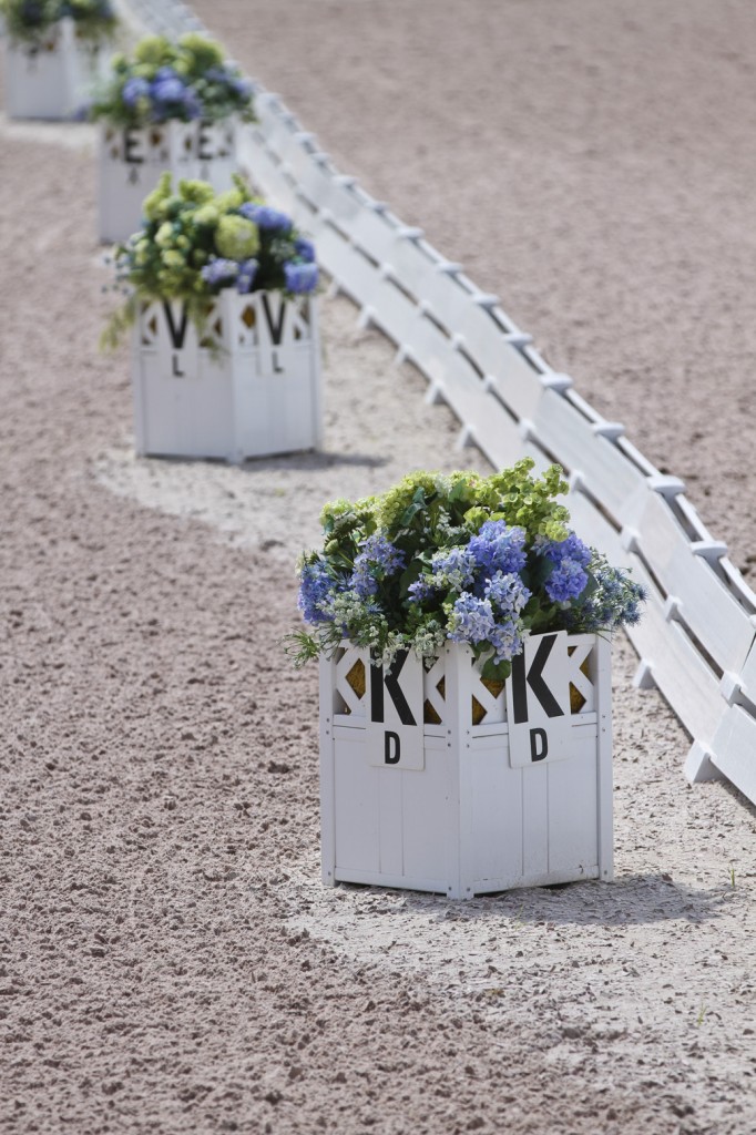 FlowerboxDressage72