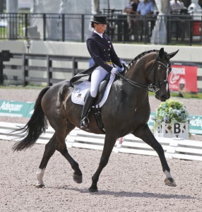 Trottingdressage272