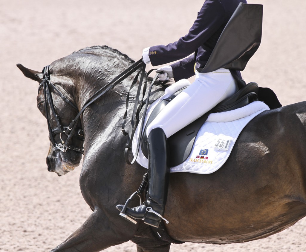 workingdressage72