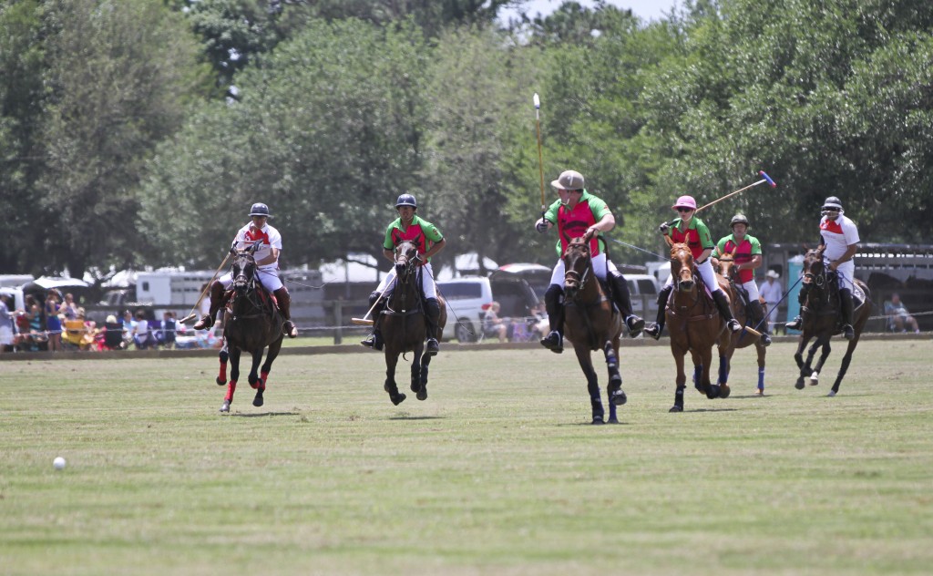 PinkGreenPolo