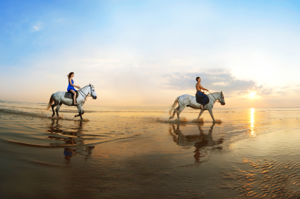 Romantic Honeymoon Equestrian Excursions