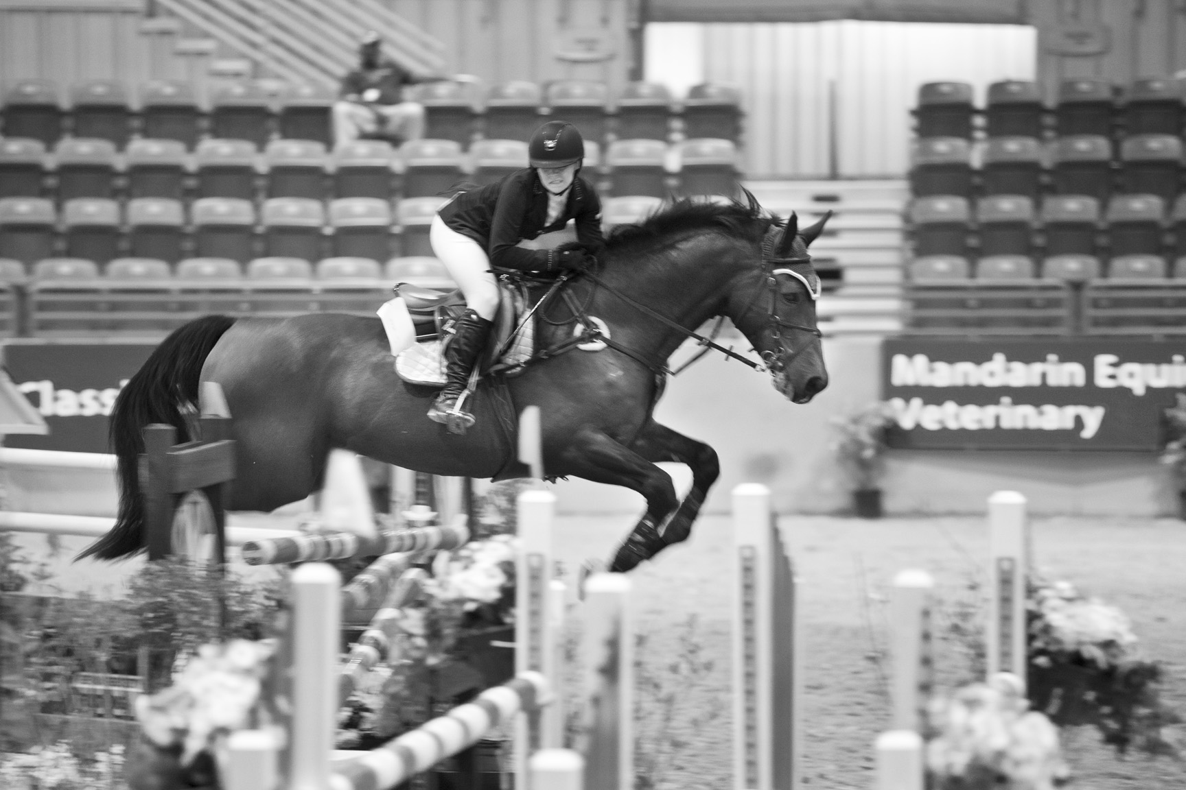 Horse Show Style from Southeast Medal Finals