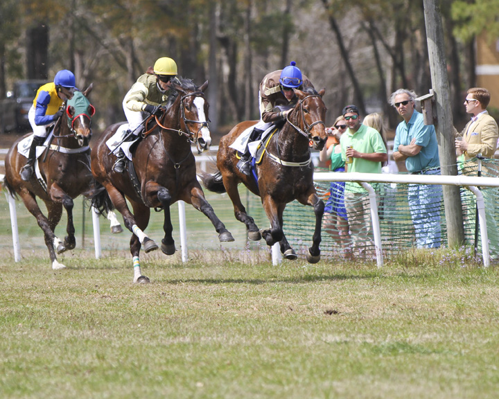 Upcoming Event: The Charleston Cup Nov. 10, 2013