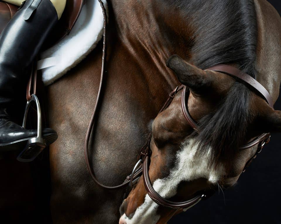 Menlo Charity Horse Show Announces 2014 “Artist of the Year”