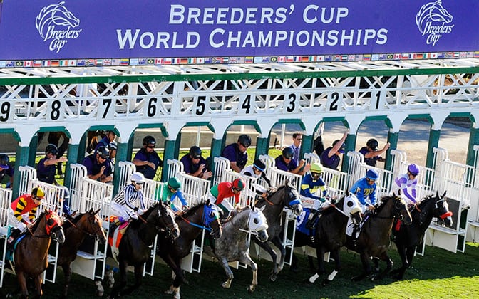 The 2014 Breeders’ Cup World Championships