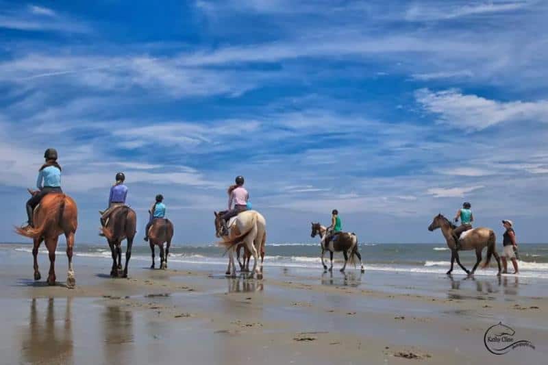 The 25th Anniversary of Charleston Summer Classic Horse Show