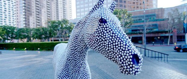 breeders-cup-prickles-close-up