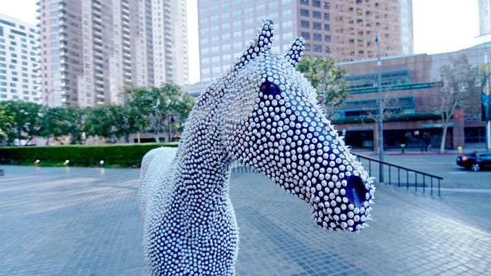 breeders-cup-prickles-close-up