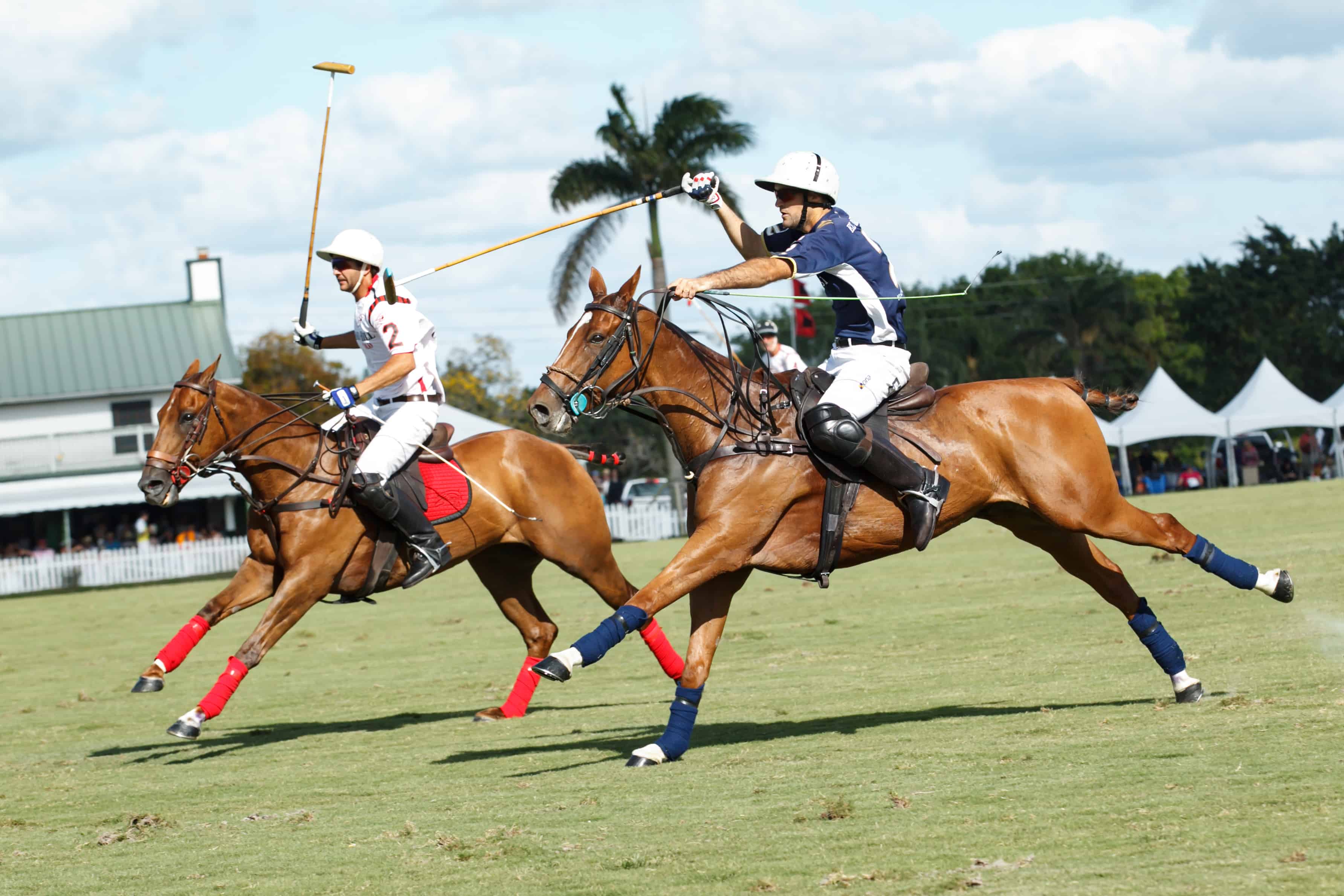 Upcoming Event: Opening Day at International Polo Club Palm Beach