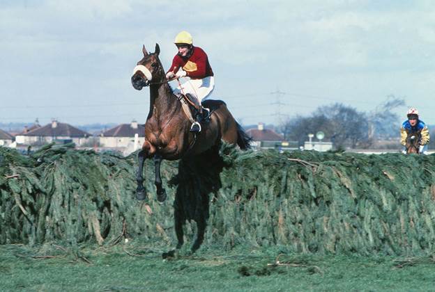 How To Prepare A Horse For The Grand National