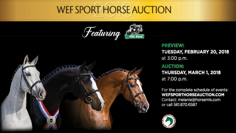 Winter Equestrian Festival – VDL Sport Horse Auction