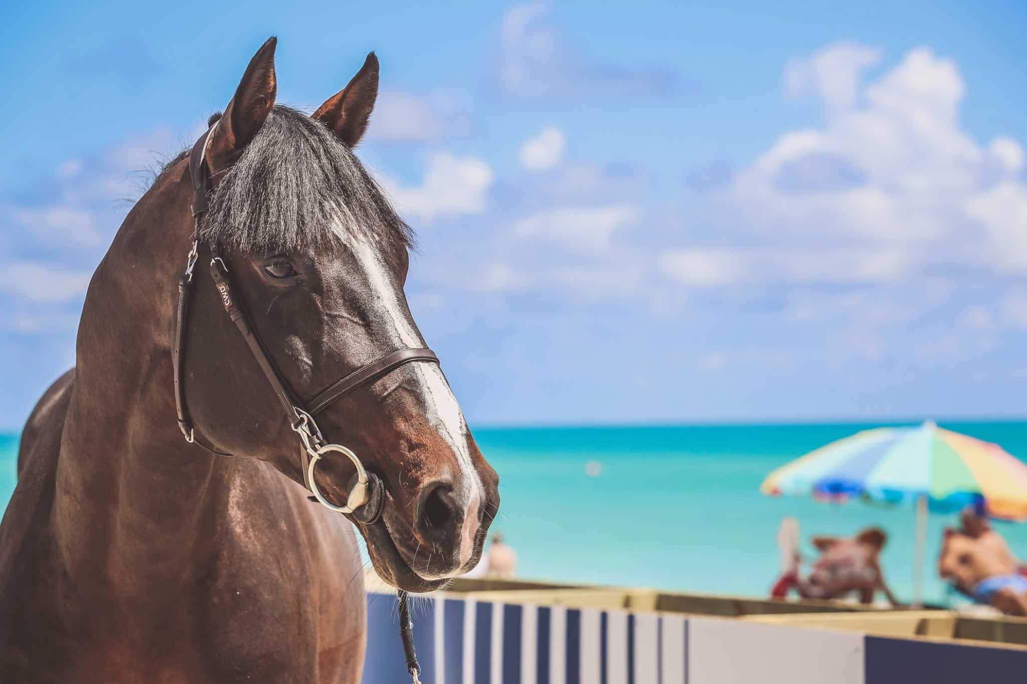 Longines Global Champions Tour: Miami Beach