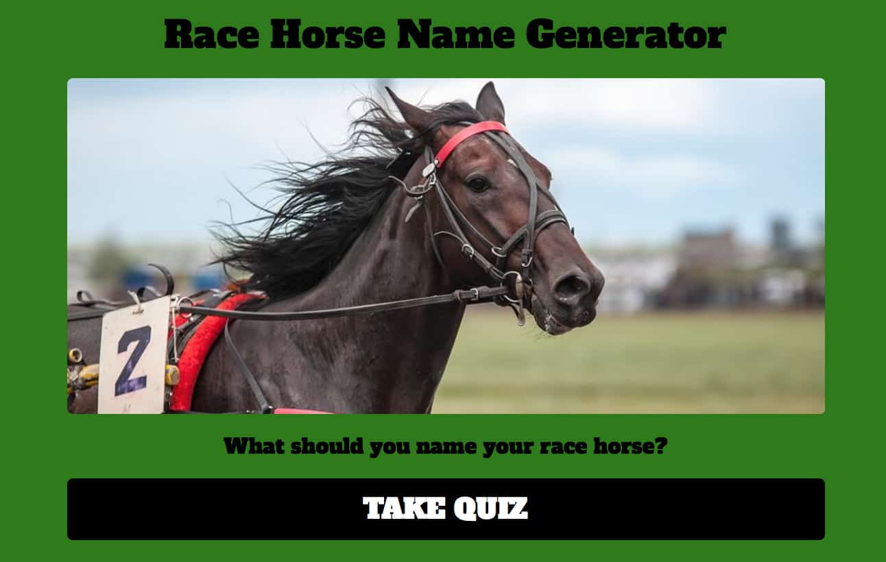 What Should You Name Your Race Horse?