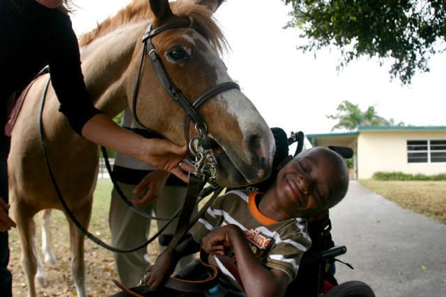 Ashley Cagle of Equestrian Stylist Joins Board of Directors at Give Back For Special Equestrians