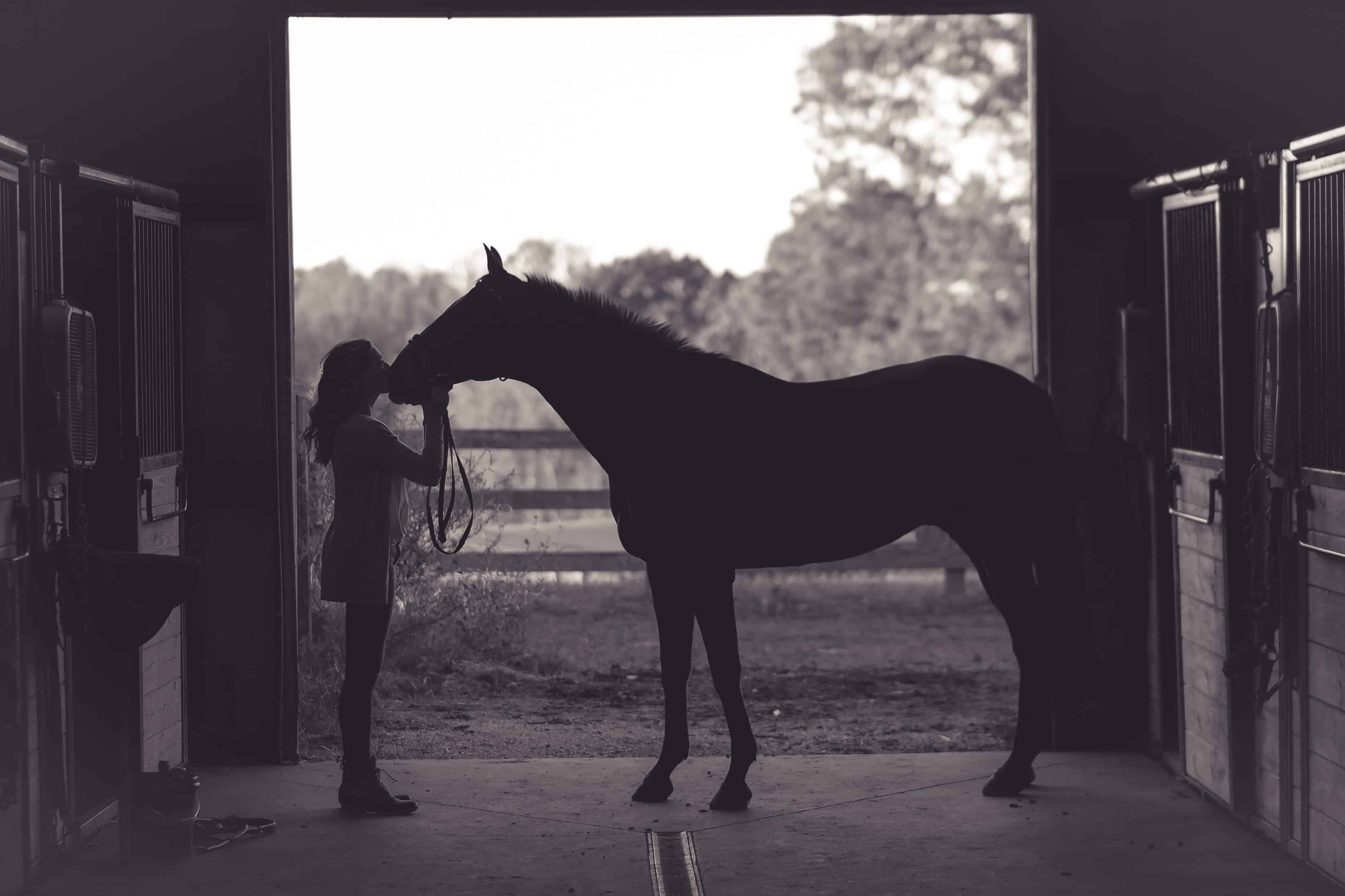 8 Tips for a Healthy Horse and Rider