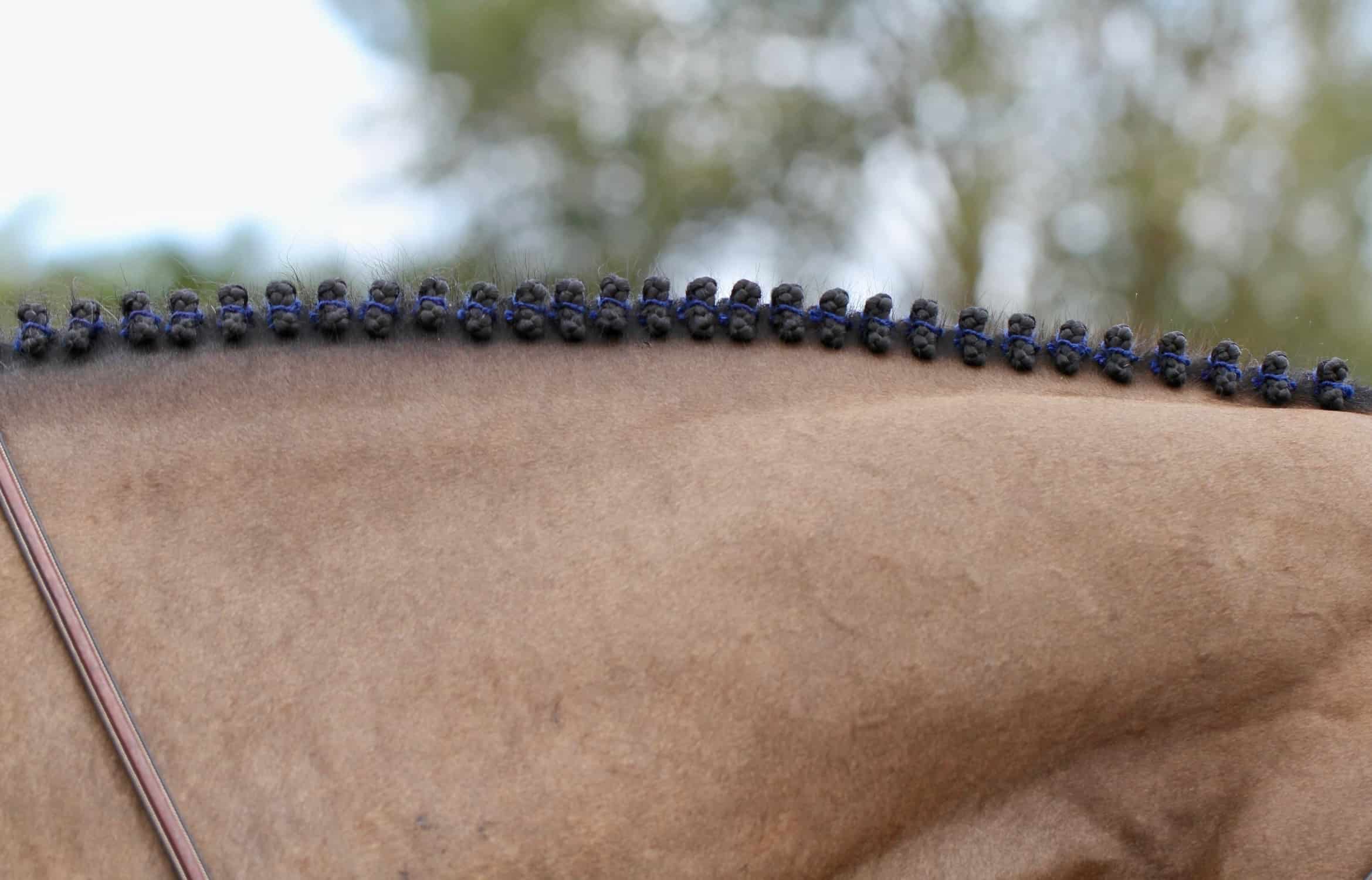 Braiding Latch Hook (Pull Through) - System Equine