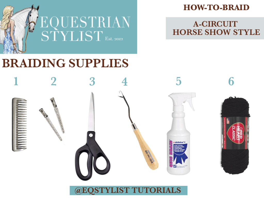 How To Braid Your Horse For The A-Circuit - Equestrian Stylist