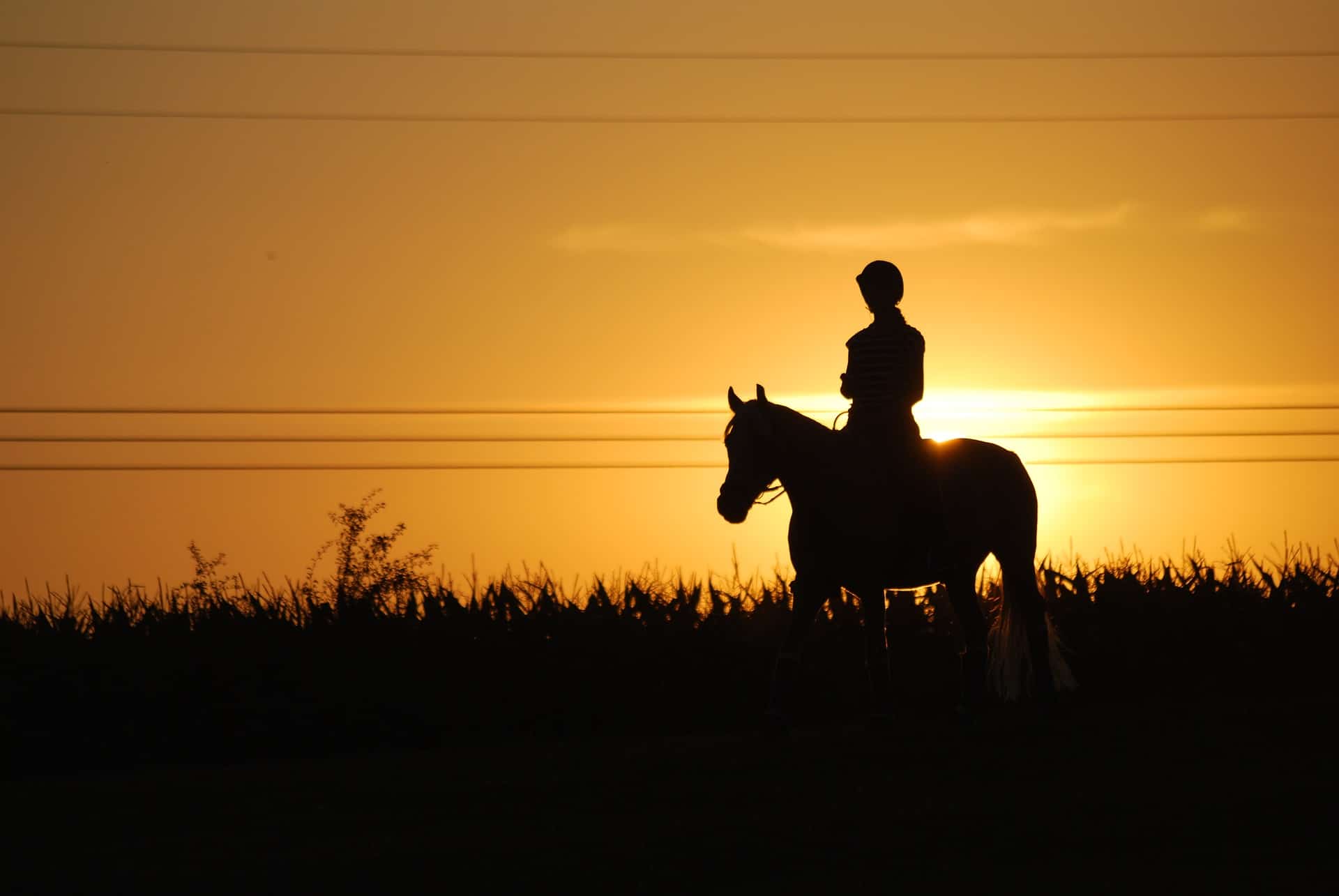 Psychological Benefits of Horseback Riding