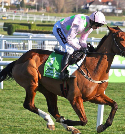 Cheltenham 2019: What to Look Out For 