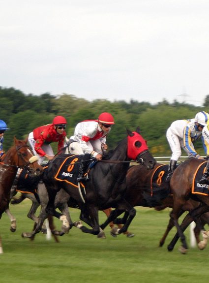 Equine Influenza: The Virus That Swept Through UK Horseracing