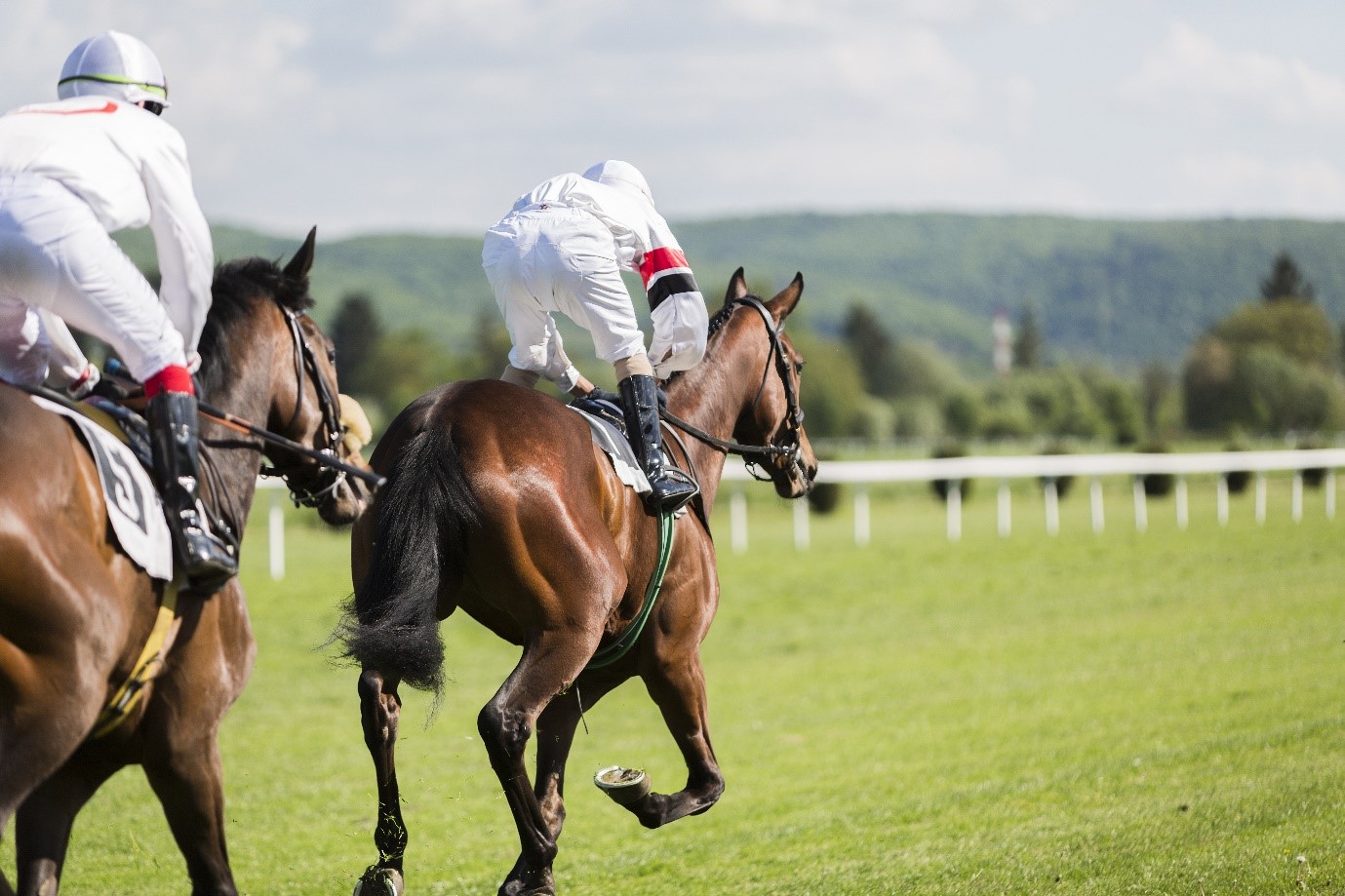 The ‘Best Ever’ Race Horses