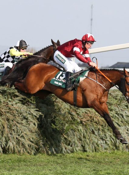 The top three horses in the betting for the 2019 Grand National