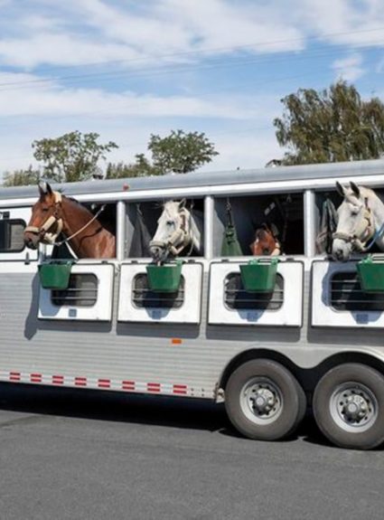 How to Pack Your Trailer for the Horse Show