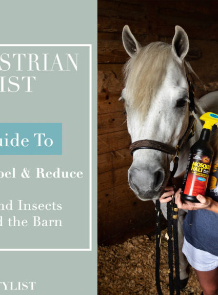 6-Step Guide To Block, Repel, and Reduce Flies Around The Barn