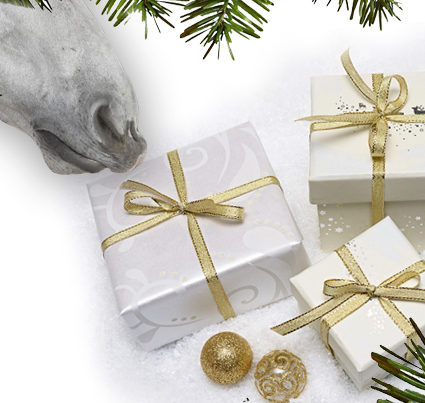 The 2019 Equestrian Style Holiday Gift Guide