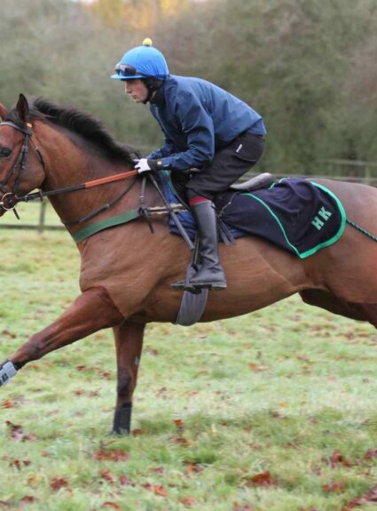 Most influential women in the history of Cheltenham Festival 