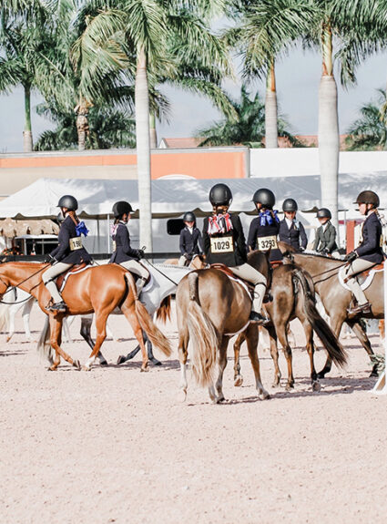How To Stand out in the Hunter Ring Under Saddle Class