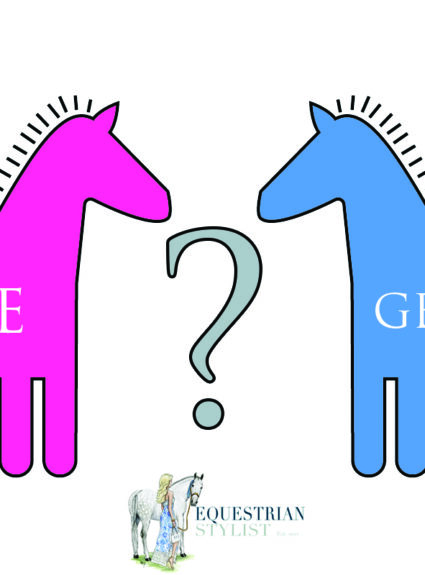 Are you a Mare person or a Gelding person?
